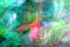 Falling Petal Abstract Blue Green Pink A- Abstract Photography and Digital Art on Canvas - 20 x 30"